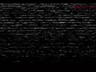 Man Fucking Horse Porn Gif