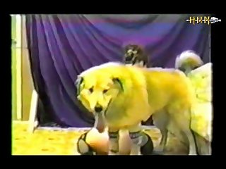 Girls And Dogs Animals (part 13)
