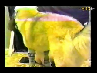 Girls And Dogs Animals (part 13)