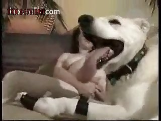 Dog Cock Backfire
