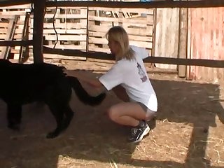 Hypno Horse Porn