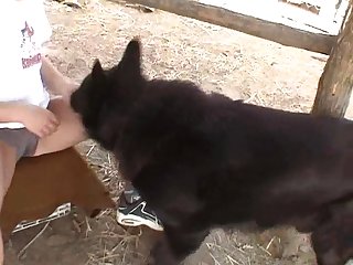 Hypno Horse Porn