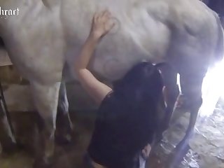 Cachorro Fazendo Sexo Com Mulher