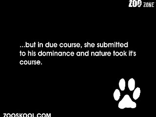 Video De Sexo Com Animal