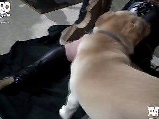 Mulheres Fazendo Sexo Com Animal