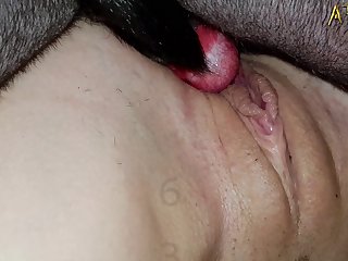 Porno Con Caballos