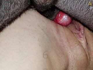 Porno Con Caballos