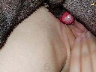 Porno Con Caballos