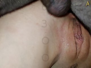 Porno Con Caballos