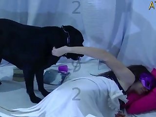 Mulher Transando Com Um Cachorro