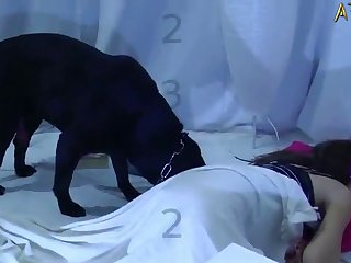 Mulher Transando Com Um Cachorro