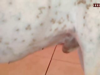 Sexocomanimais