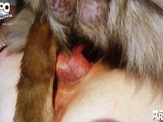 Sesso Con Cavallo
