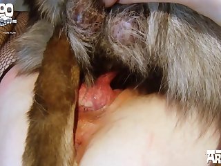 Sesso Con Cavallo
