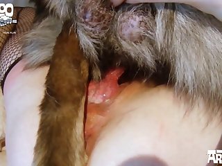 Sesso Con Cavallo