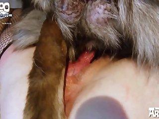 Sesso Con Cavallo