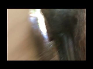 Zoophilia Porn