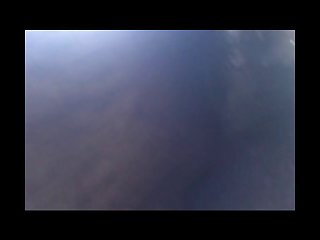 Zoophilia Porn