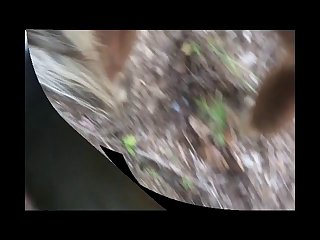 Zoophilia Porn