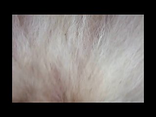 Zoofilia Videos