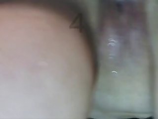 Wet Dog Porn