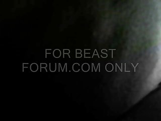 Zoo Pornosu