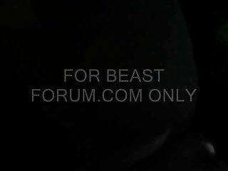 Zoo Pornosu