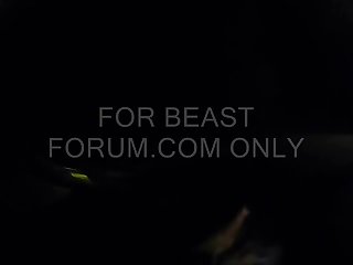 Zoo Pornosu