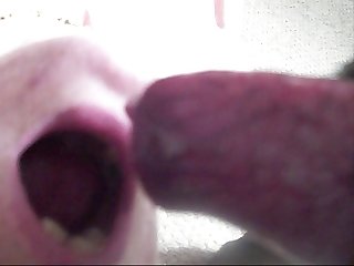 Cavalo Gozando No Cu Do Gay