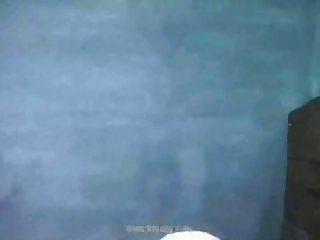 سكس قطط