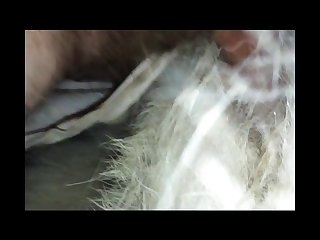Hayvanlarlaporno