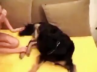 Dog’s Throat But Hotwife Never Heard It Instead She Felt The