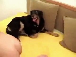 Dog’s Throat But Hotwife Never Heard It Instead She Felt The