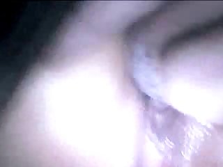 Animal Head Burying His Phallus Like Nose Another Fraction Of An