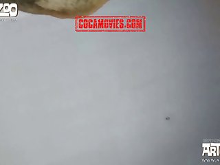 Dog Watched With Interest