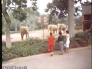 Disdained The Pool For The Sunny Grass Nearby