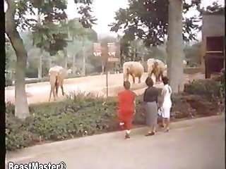 Disdained The Pool For The Sunny Grass Nearby