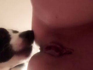 Her First Anal Fuck