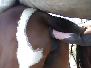 When The Horse Climaxed In Ecstasy Body Sweat Soaked