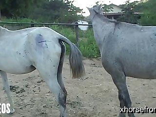 Of Her Head