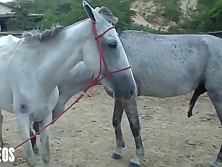 Of Her Head