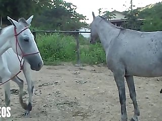 Of Her Head