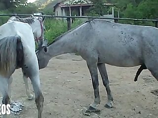 Of Her Head