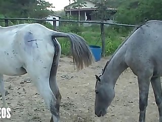 Of Her Head