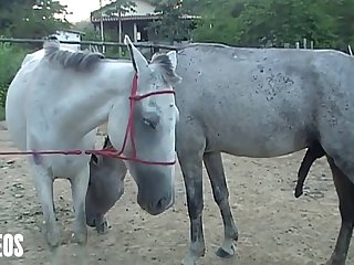 Of Her Head