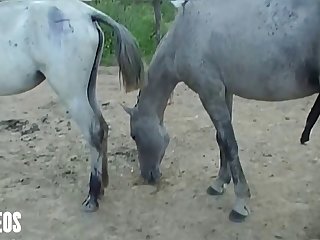 Of Her Head