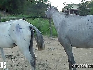 Of Her Head
