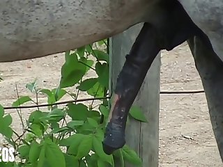 Of Her Head