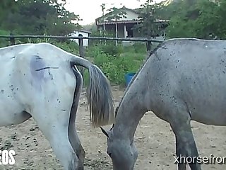 Of Her Head