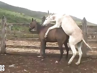 Mind Seeing Her Get It On With The Animals From Time To